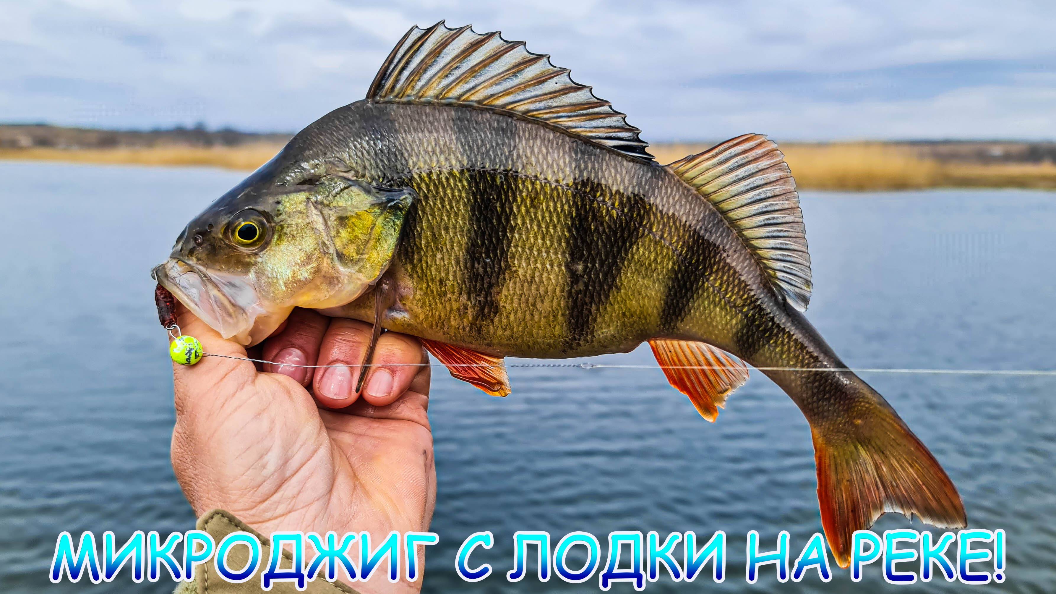 Микроджиг с лодки на реке!  За окунем и щукой! Вредный, весь в пиявках!