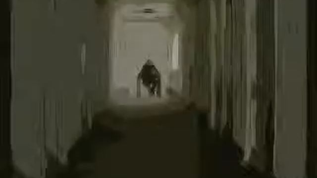 Prova Cartoonizer (no sound)