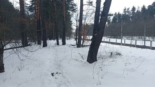 Будьте добрее к другим, рассуждаем.