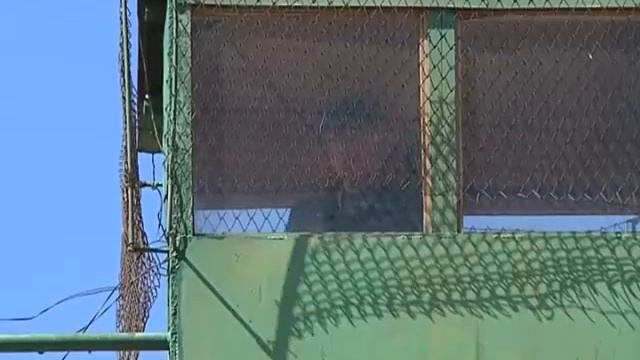 В колонии строго режима изъята религиозная литература