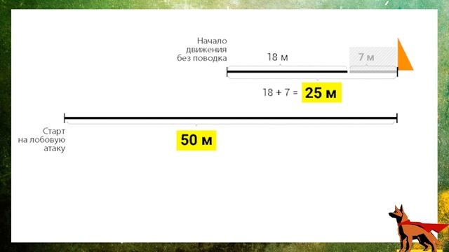 Овчариум 2. Схема проверки поведения на кёрунгах и выставках немецких овчарок