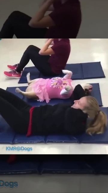 Все выходные как не в себя ела😋, даже согнуться не могу 😂 ( видео про собак )