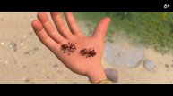 Маракуда🌟😎Трейлер (2025) Мультфильм, приключения, семейный