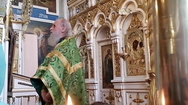 Проповедь протоиерея Николая Тимофеева в Неделю ваий, праздник Входа Господня в Иерусалим