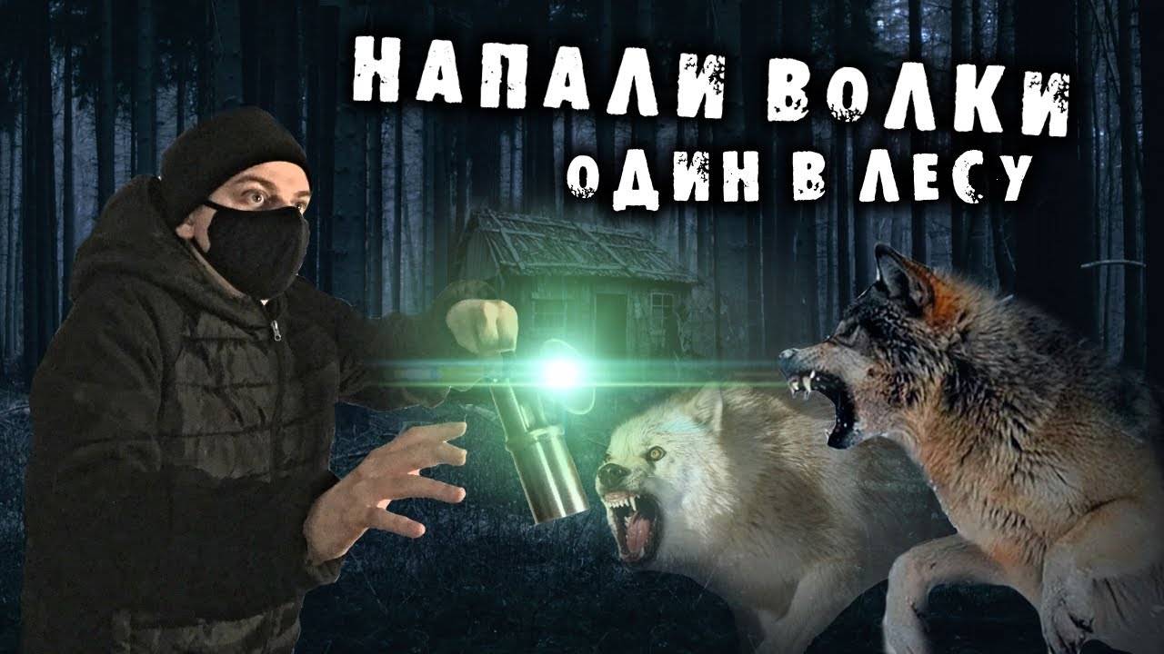 Жуткая ночь. Один в лесу. Убегаю от волков.