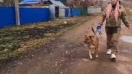 Веселина Черданцева снайпер ДНР