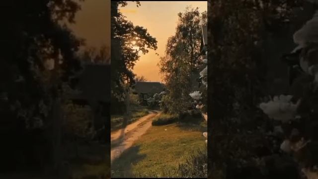 Вспоминаю