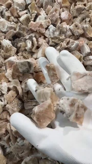 Желудок коровы лакомство для собак