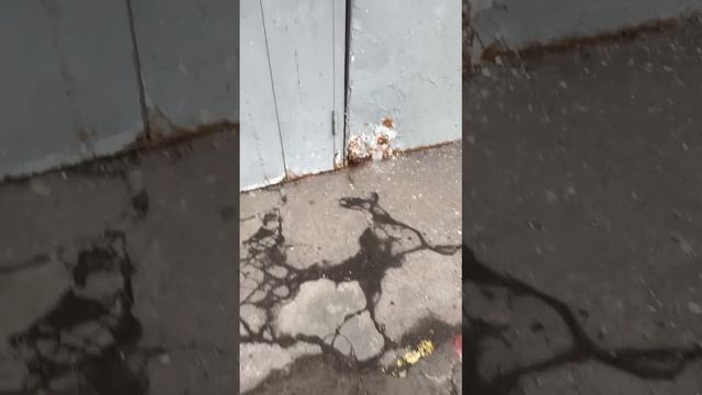 Ставропольская ул., 76, студия 8,5 кв.м Авито