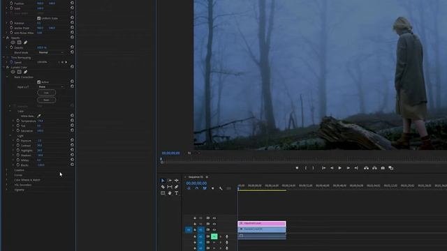 How To Turn Day Into Night In Premiere Pro Tutorial