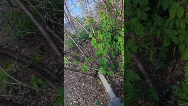 Работаем по всему Краснодарскому краю. Зарабатываем своим трудом. Наводим красоту в деревнях