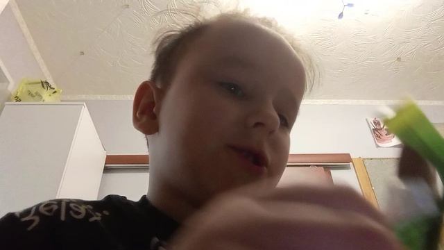 1000003893.mp4