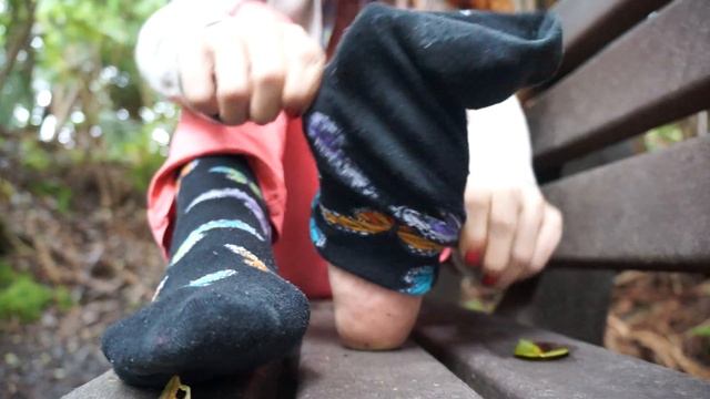 Soles of My Feet, Worn Butterfly Socks