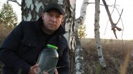 За берёзовым соком и саженцами на УАЗе-буханке