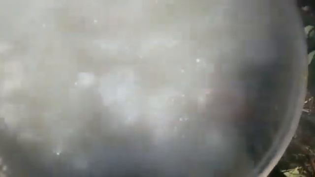 Puchero la receta de la abuela