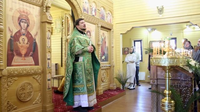 Вход Господень в Иерусалим. Вербное Воскресенье. Проповедь ио настоятеля иерея Димитрия Воецы.