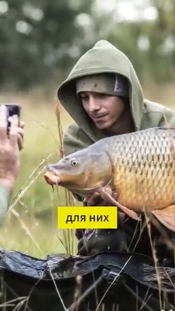 Почему в США не любят карпа? #рыбалка #карп