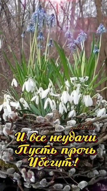 С Вербным Воскресеньем!!!