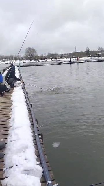 WhatsApp Video 2025-04-13 at 09.43.42