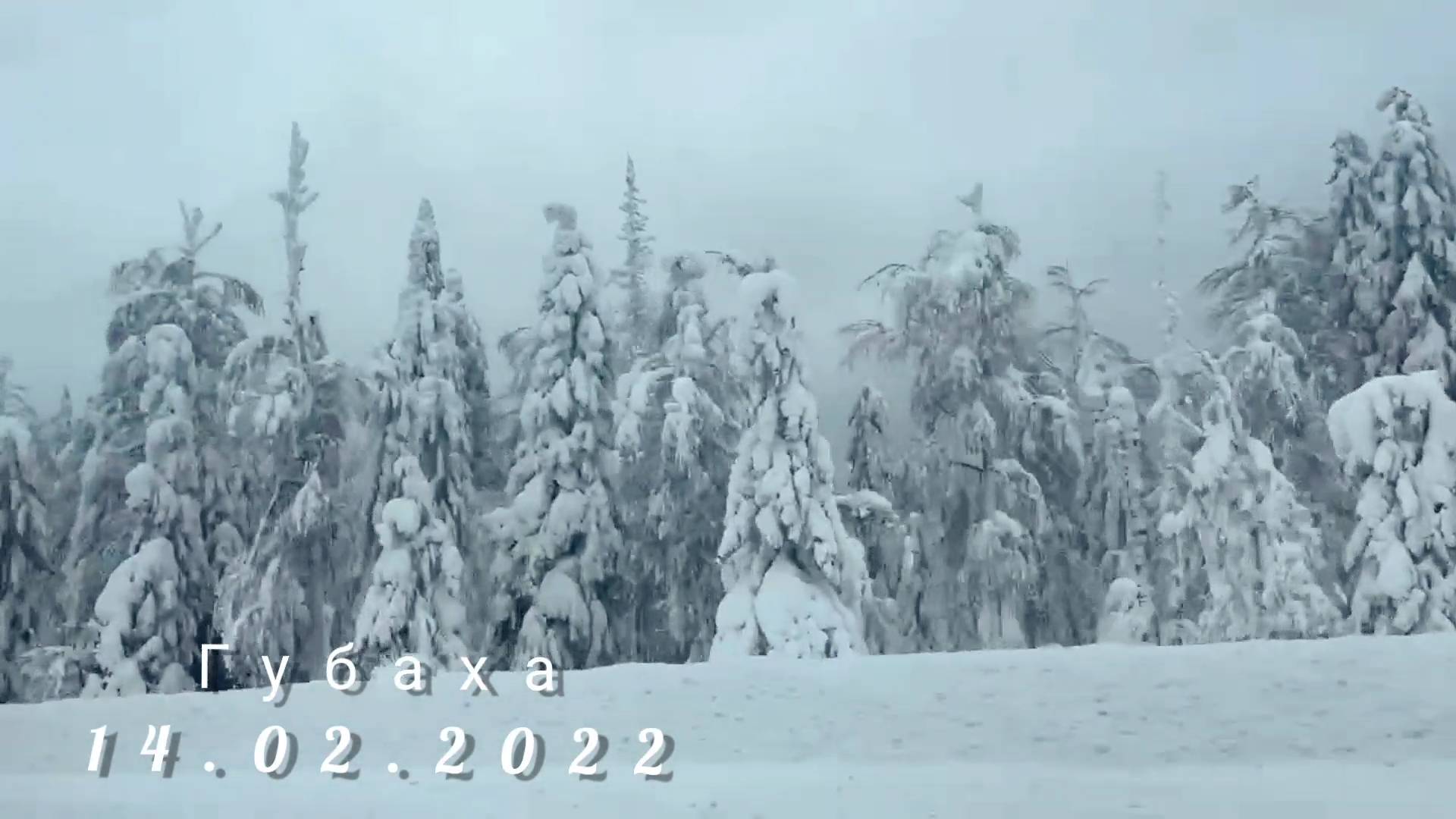 Губаха. 14.02.2022