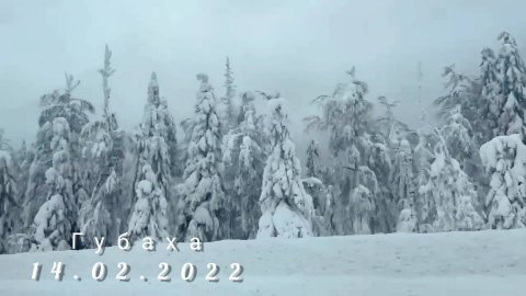 Губаха. 14.02.2022