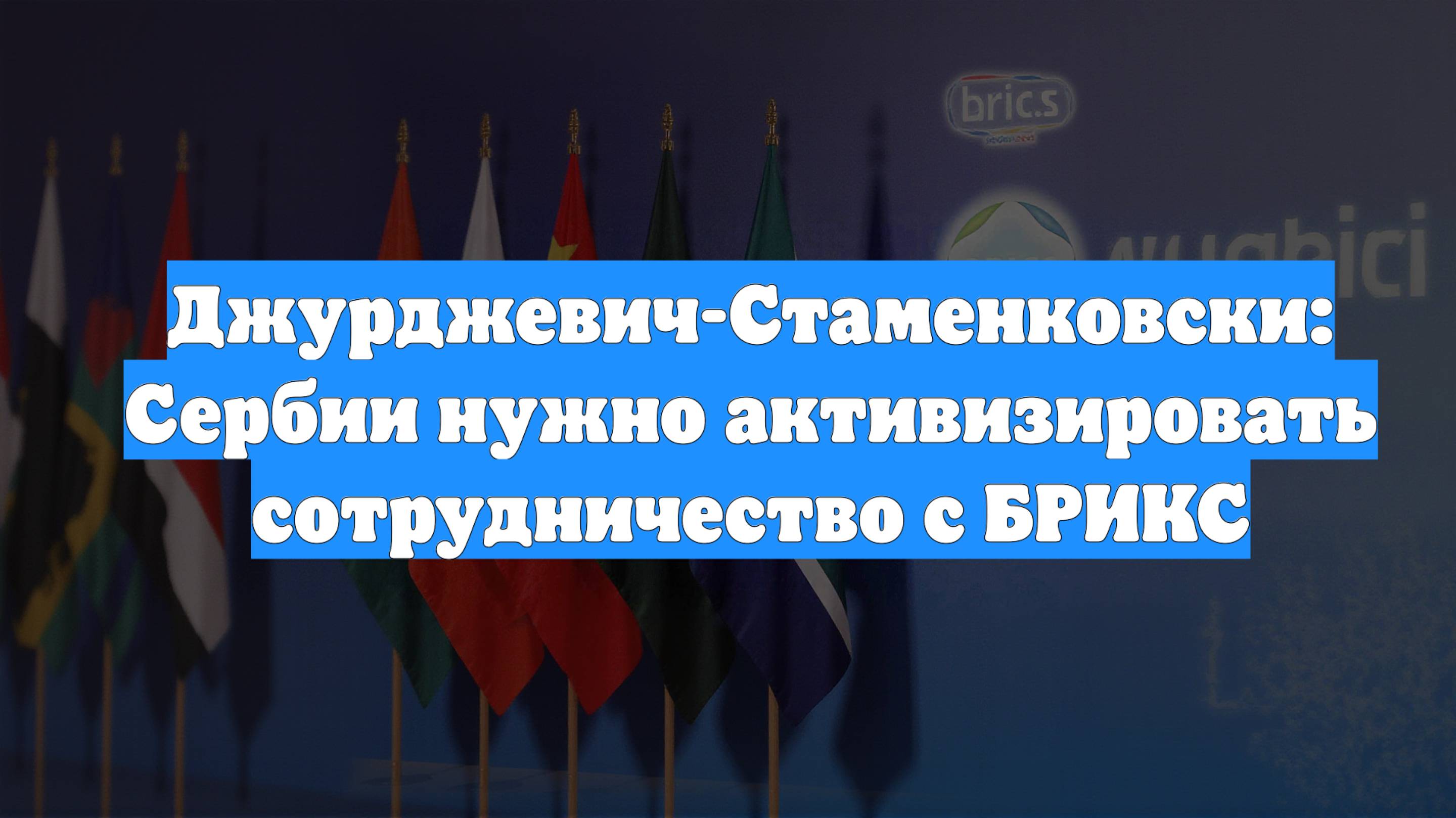 Джурджевич-Стаменковски: Сербии нужно активизировать сотрудничество с БРИКС