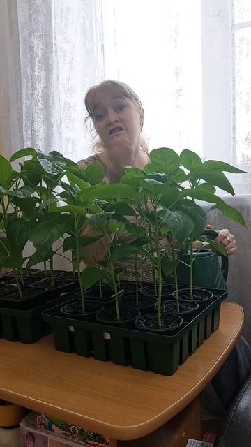 Хороший совет садоводам...