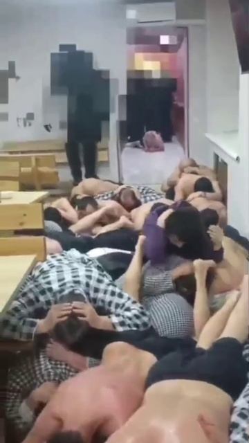Ползи, ползи бле