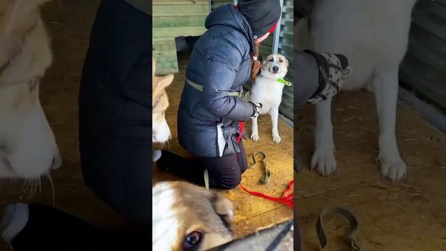 Простое присутствие важно!