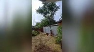 уборка участка за 3 часа