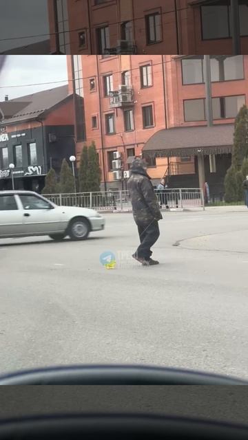 😁 Разных нынче питомцев выгуливают  Каких самых необычных вы встречали?