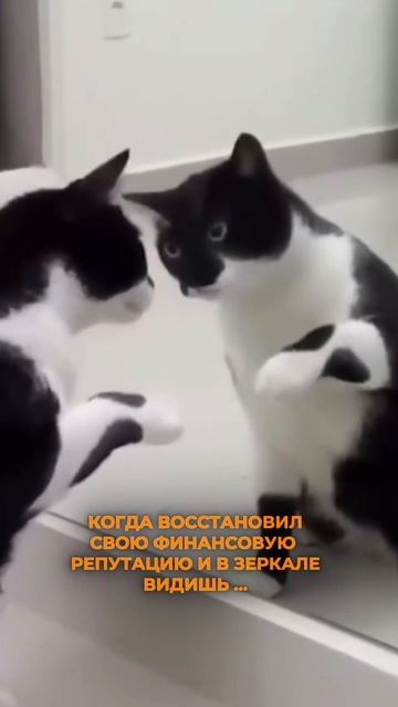 Побочка от восстановления финансовой репутации