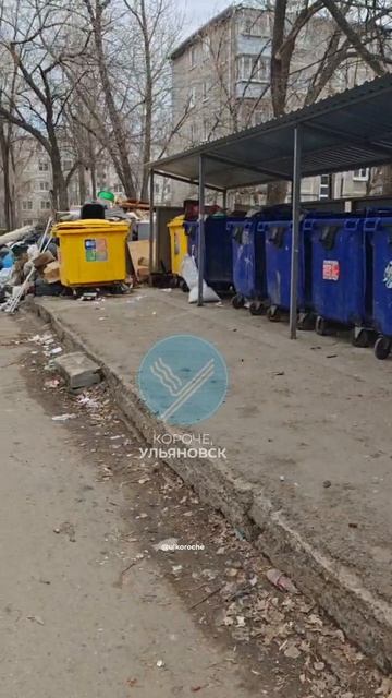 🚮 Огромную кучу мусора обнаружили во дворе дома на Кольцевой, 6.