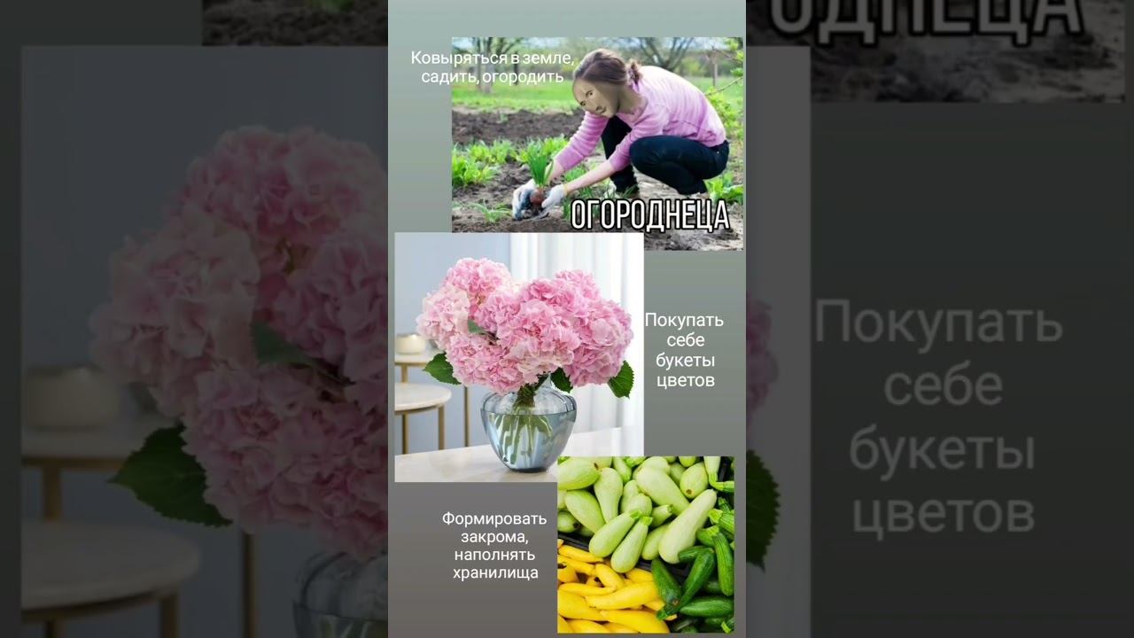 Солнцезажигающие действия для Тельца #сзд #телец #астрология #shorts