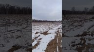 13 апреля 2024 г.