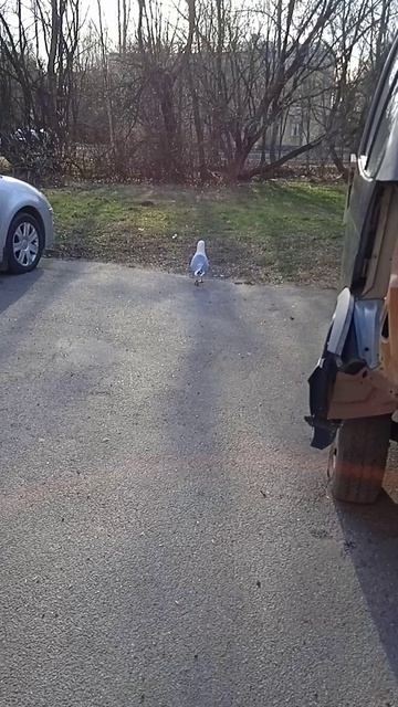 Василий