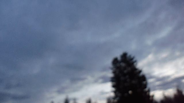 MOV02774