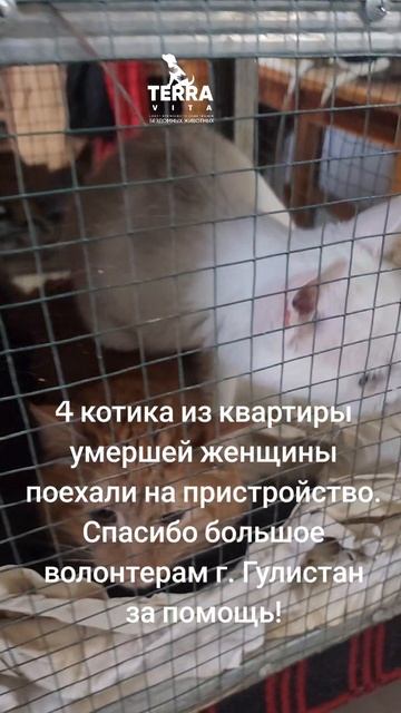 очень нужна помощь