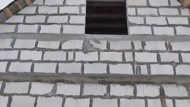 Клопицы 02-2025