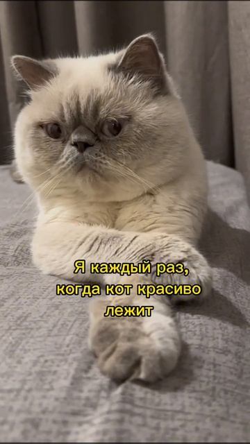 Невозможно налюбоваться на такого красавчика!