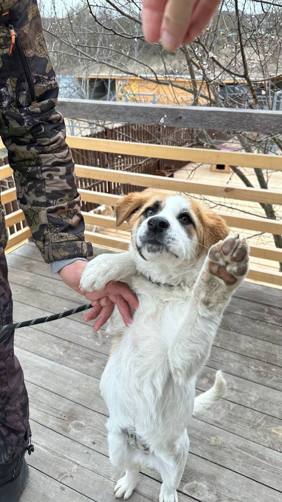 Море ЭНЕРГИИ и ПОЗИТИВА 🤩🤩🤩 ЛЕПСА