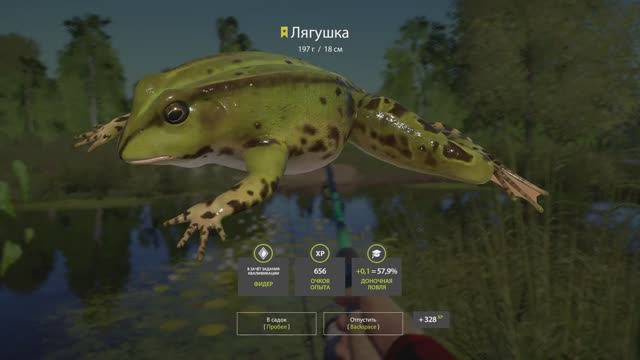 Русская Рыбалка 4 (Трофей Лягушка) оз. Комариное