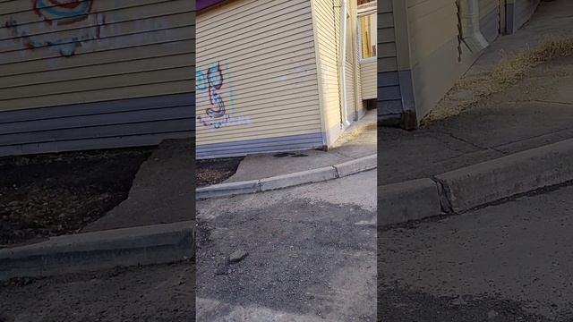я иду домой после гулянки.