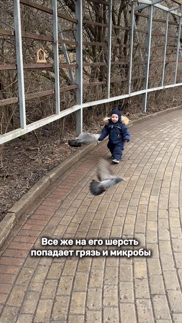 Как же здорово иметь собаку