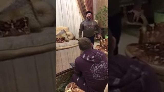 избушка тв