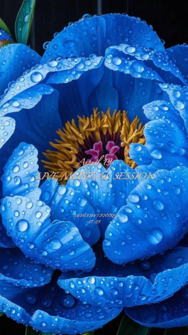 Потоковый Концерт-Сессия 19 апреля — Анастасия Лаврова-Пуганова #flowers #nature #love