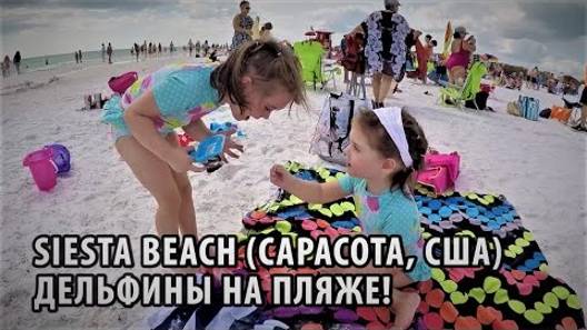 62# Пляж Siesta beach в Сарасоте (Флорида, США). Дельфины на пляже!