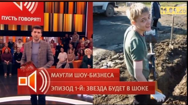 Пусть говорят Выпуск 14.04.2025
«Маугли шоу-бизнеса». Эпизод первый: звезда в шоке смотреть онлайн