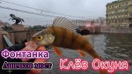 КЛЁВ ОКУНЯ КРУГЛОСУТОЧНО АНИЧКОВ МОСТ ФОНТАНКА КАНАЛ ГРИБОЕДОВА ЛЬВИНЫЙ МОСТИК