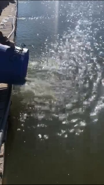 WhatsApp Video 2025-04-14 at 09.02.51